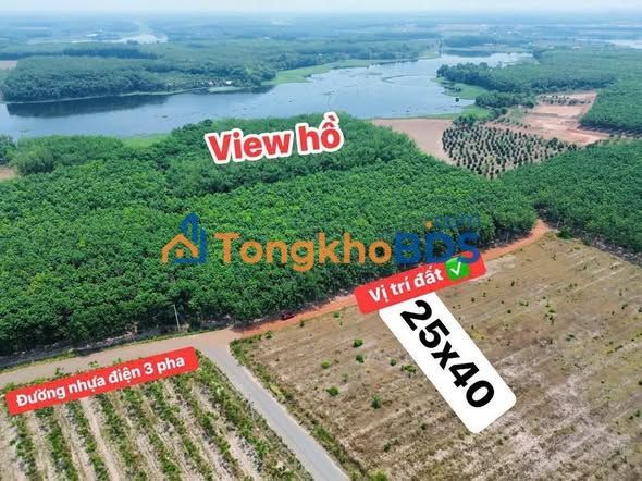 Đất vườn Nha Bích 1125m² view hồ Phước Hoà - Nghỉ dưỡng lý tưởng