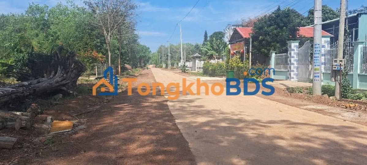 Đất nền Nha Bích 500m² 1.3 tỷ - Tiềm năng tăng giá