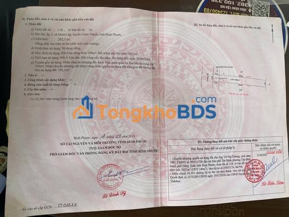 Đất nền Nha Bích, Chơn Thành 175m² giá 500tr - Tiềm năng tăng giá