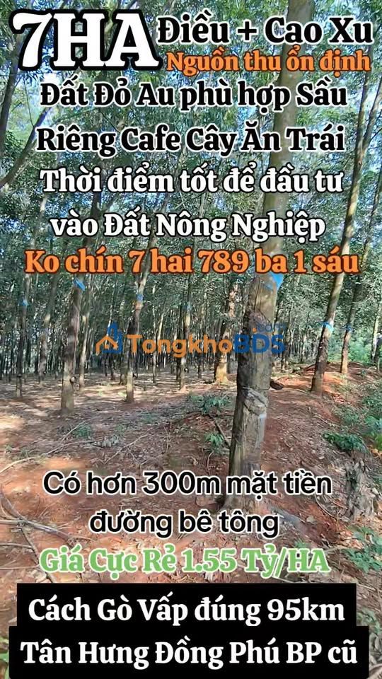 Đất vườn Tân Hưng Đồng Phú 7ha giá 10.85 tỷ - Giá đầu tư tốt