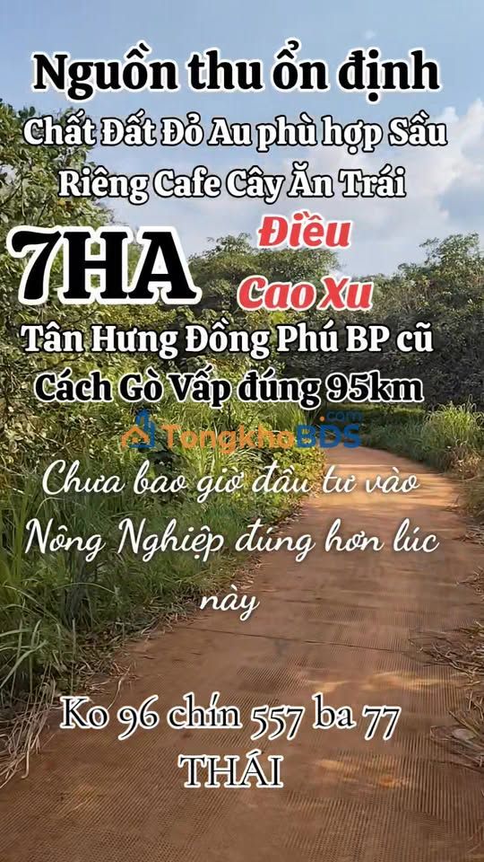Đất vườn Tân Hưng Bình Phước 7ha - Đầu tư dài hạn