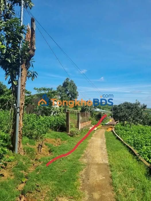 Đất nền Đạm Bri 500m2 1.8 tỷ - Tiềm năng tăng giá