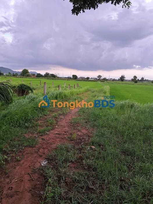 Đất vườn Hàm Trí Bình Thuận 670m² - Sinh thái xanh