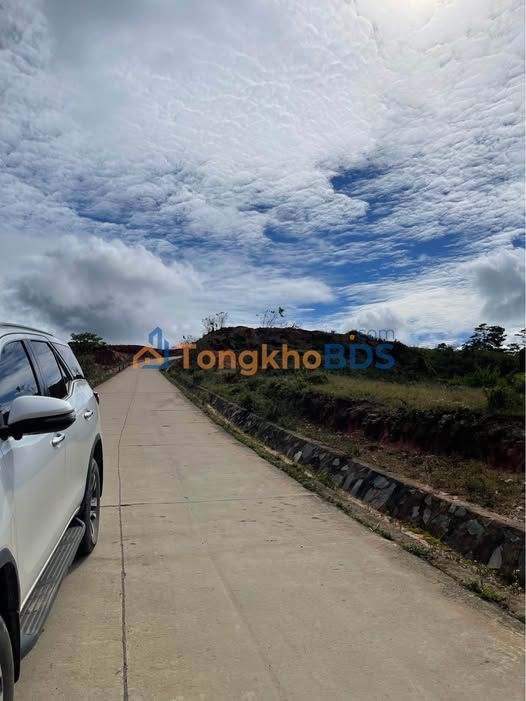 Đất vườn Đạ Nhim Lạc Dương 3,9ha - Nghỉ dưỡng lý tưởng