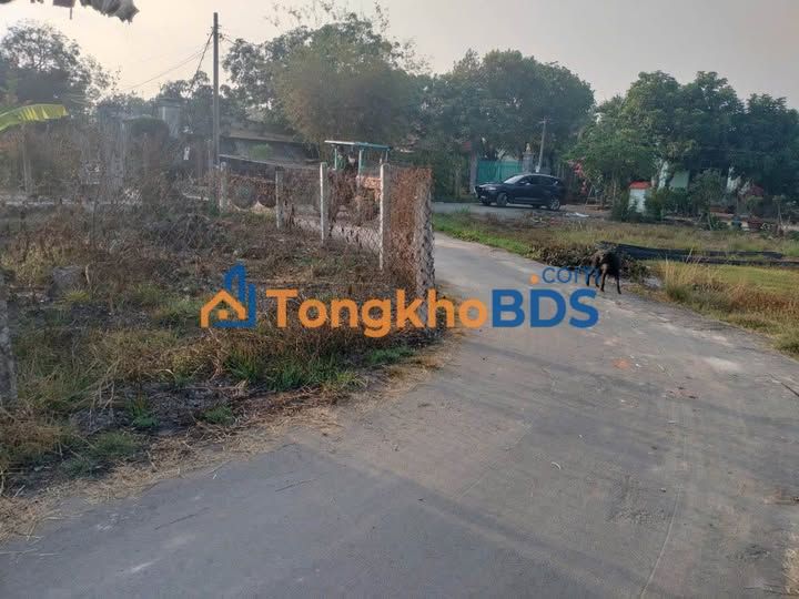 Đất nền Phước Thạnh Củ Chi 84m² - Đất thổ cư 100% xây dựng tự do