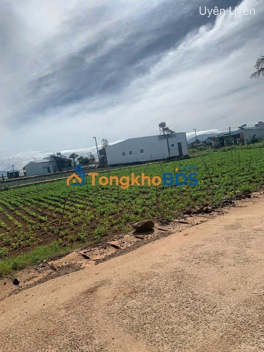 Đất nền Đạ Ròn Đơn Dương 300m² - Pháp lý rõ ràng