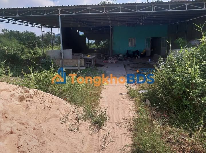 Đất nền mặt tiền QL28 Hàm Trí 346m² - Đường to ô tô