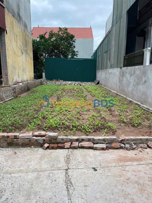 Đất nền Thanh Oai 80m² - Mặt tiền 5.5m, ô tô vào tận cửa, tiềm năng tăng giá cao