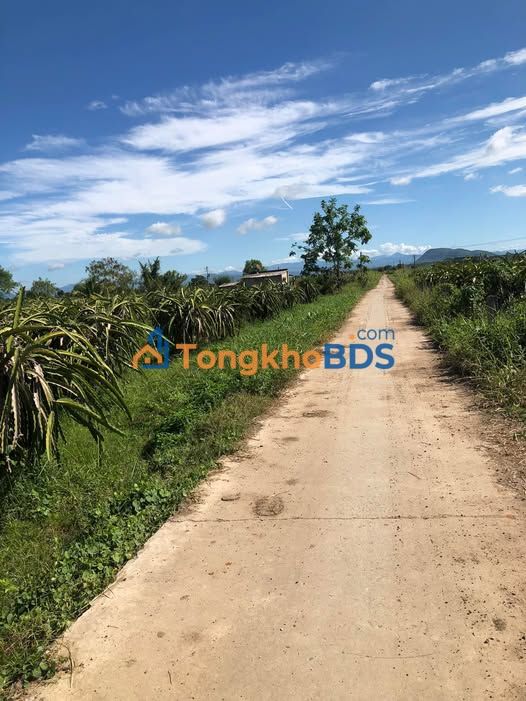 Đất vườn Hàm Đức 1800m² giá 1.95 tỷ - Sinh thái xanh