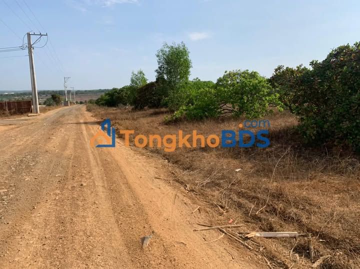 Đất vườn Hàm Đức 1.7ha giá 6.8 tỷ - Nghỉ dưỡng lý tưởng