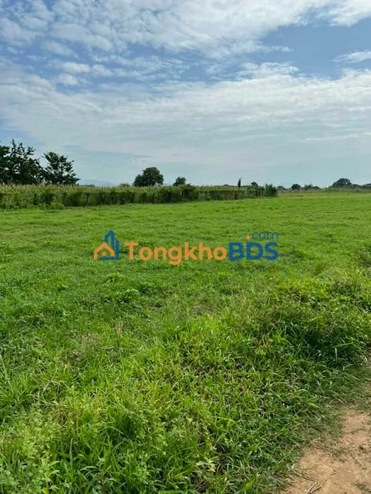 Đất vườn Hàm Trí 720m² nghỉ dưỡng lý tưởng giá 770tr