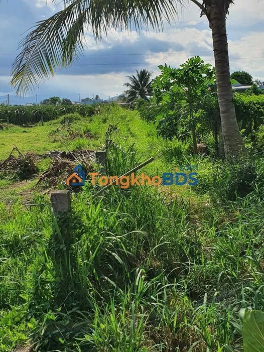 Đất nền Hàm Mỹ, Hàm Thuận Nam 360m² tiềm năng tăng giá