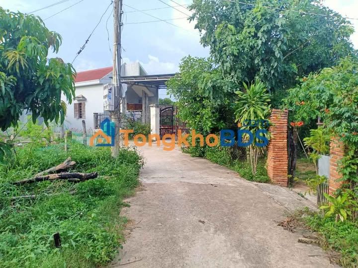 Đất vườn Ma Lâm 500m² giá 2.5 tỷ - Nghỉ dưỡng lý tưởng