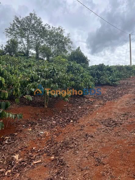 Đất nền Phi Tô Lâm Hà 3400m² giá 2.1 tỷ - Đất thổ cư 100%