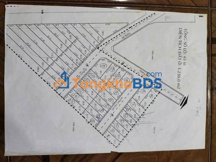 Đất nền Phú Hữu Quận 9 160m² giá 12 tỷ - Tiềm năng tăng giá