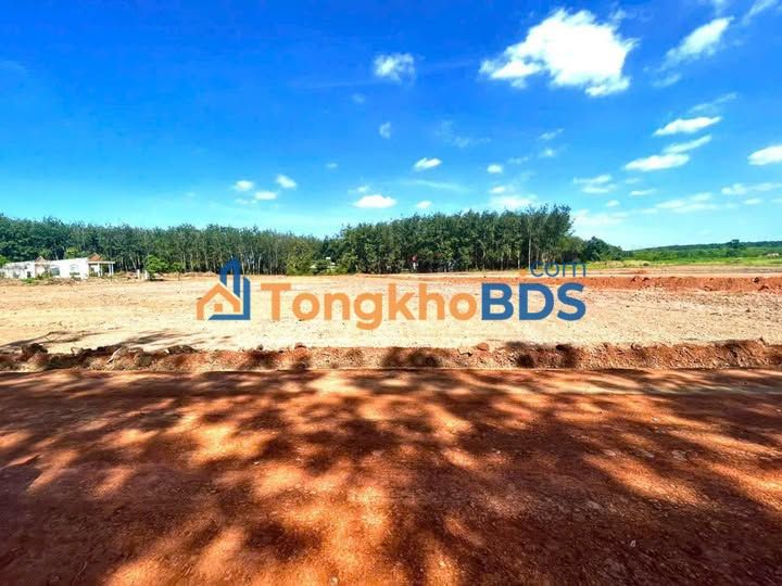 Đất nền Tân Lập Đồng Phú 200m² sổ đỏ chính chủ