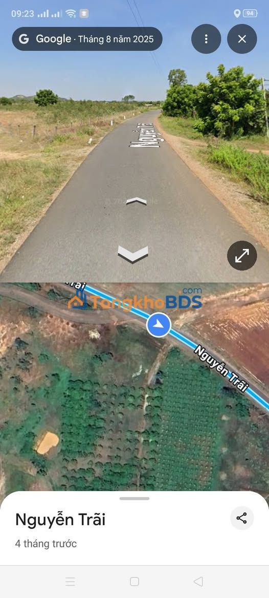 Đất farm Bình Tân Bắc Bình 4ha giá 4 tỷ - Đầu tư dài hạn