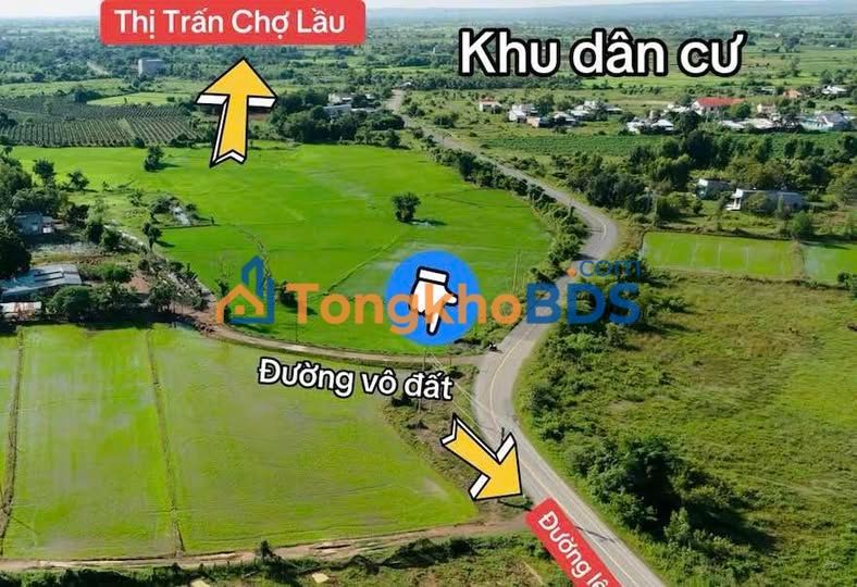Đất vườn Bình An 3 mẫu giá 900 triệu/mẫu - Đầu tư dài hạn