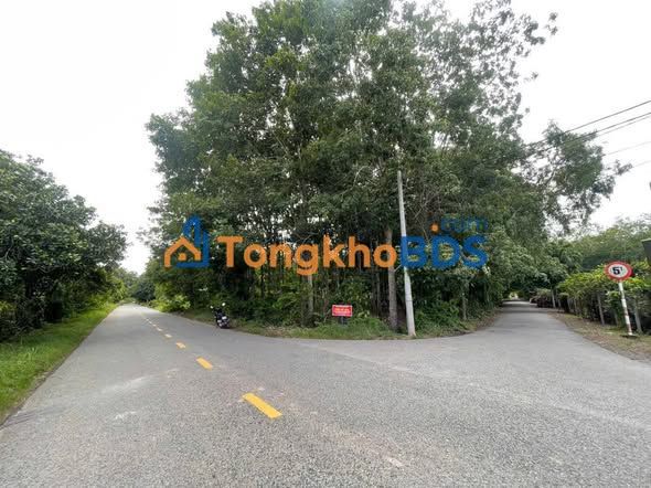 Đất góc 2 mặt tiền An Nhơn Tây 1.539m² - Đường to ô tô