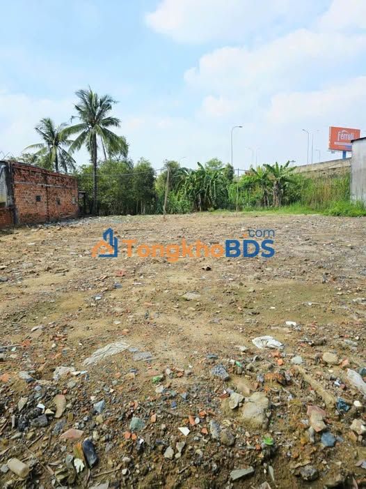 Đất nền Phú Hữu Quận 9 500m² - Đường to ô tô, giá tốt