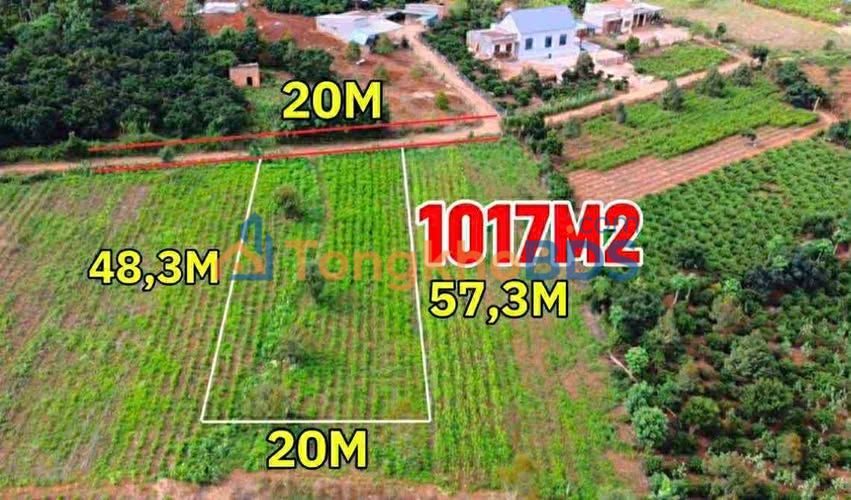 Đất vườn Liên Hà 1000m² - Sổ đỏ chính chủ, giá tốt