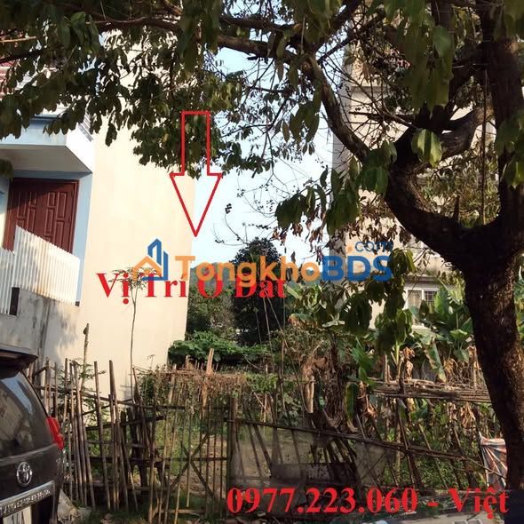 Đất nền Vựng Đâng Hạ Long 83m² giá 498 triệu – Tiềm năng tăng giá