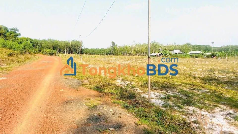 Đất nền đường số 3 Minh Thành 500m² - Tiềm năng tăng giá