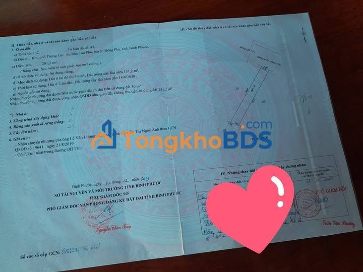 Đất nền Tân Phú Bình Phước 200m² - Đường to ô tô, tiềm năng