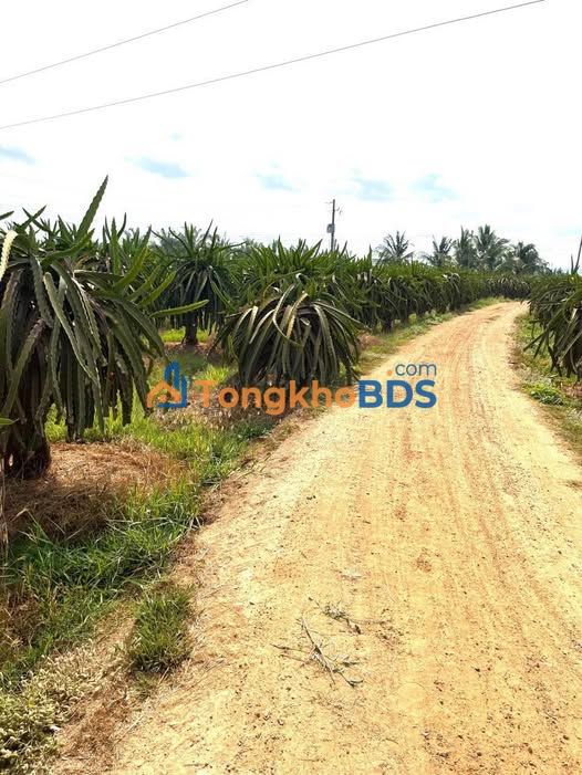 Đất vườn Hàm Đức 720m² giá 800 triệu - Pháp lý rõ ràng