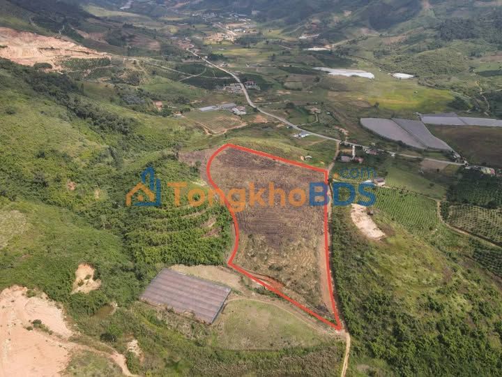 Đất vườn Phi Tô Lâm Hà 2.8ha - Sinh thái xanh, đầu tư dài hạn