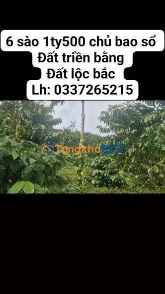 Đất nền Lộc Bắc Bảo Lâm 2160m² giá 1.5 tỷ - Giá đầu tư tốt