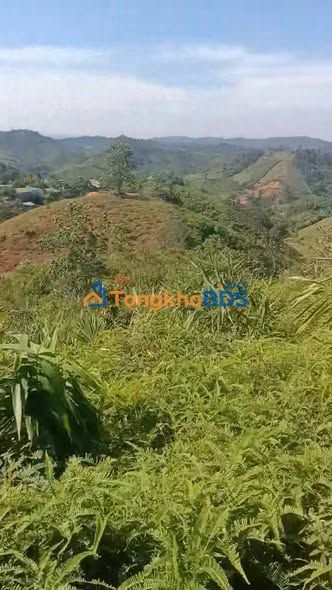 Đất nền Thôn 4 Lộc Bắc 2052m² giá 450 triệu - Tiềm năng tăng giá