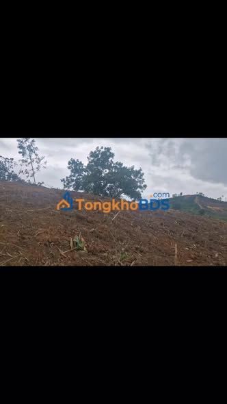 Đất vườn Lộc Bắc 2160m² giá 900 triệu - Giá đầu tư tốt