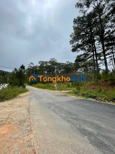 Đất vườn Đạ Nhim 8.000m² giá 2.7 tỷ - Sinh thái xanh