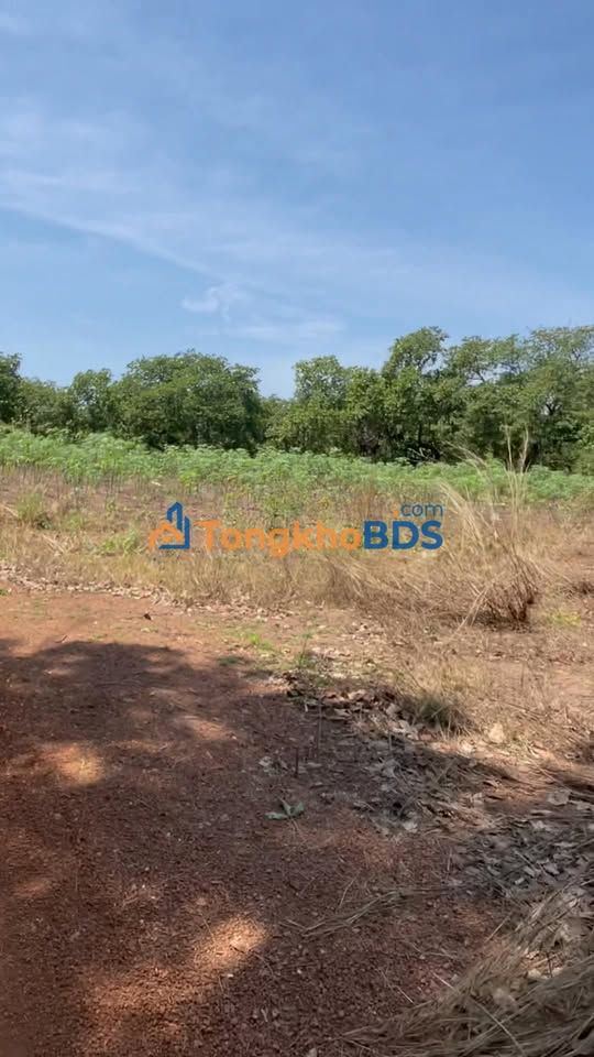 Đất nền Thị trấn Tân Phú 225m² giá 2xx triệu - Sổ đỏ chính chủ