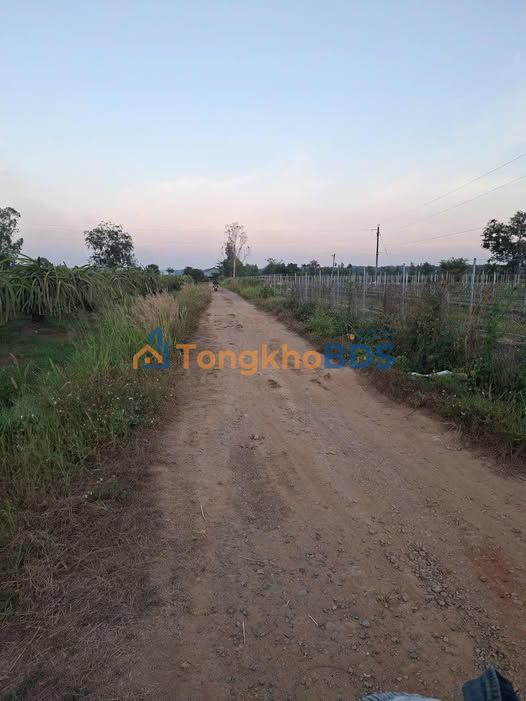 Đất vườn Hàm Minh 1620m² giá 1.2 tỷ tiềm năng tăng giá