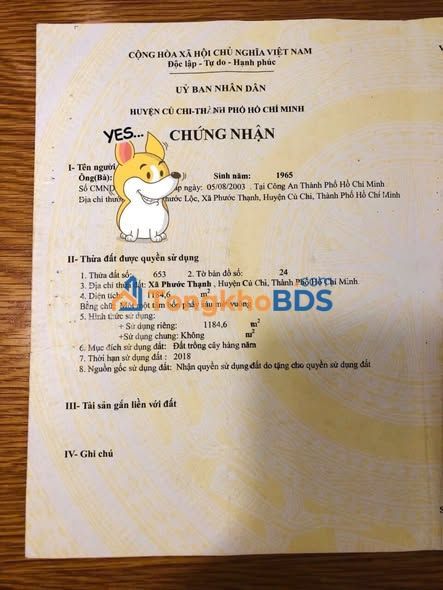 Đất nông nghiệp Phước Thạnh Củ Chi 1200m² - Sổ đỏ chính chủ