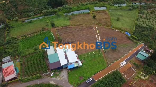 Đất vườn Đạm Bri Bảo Lộc 24000m² - Sinh thái xanh