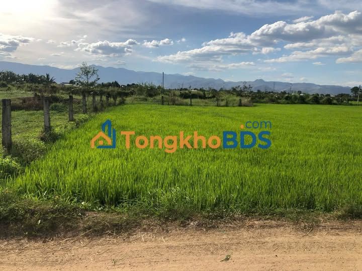 Đất vườn Hàm Trí 2.100m² giá 1 tỷ - Tiềm năng tăng giá