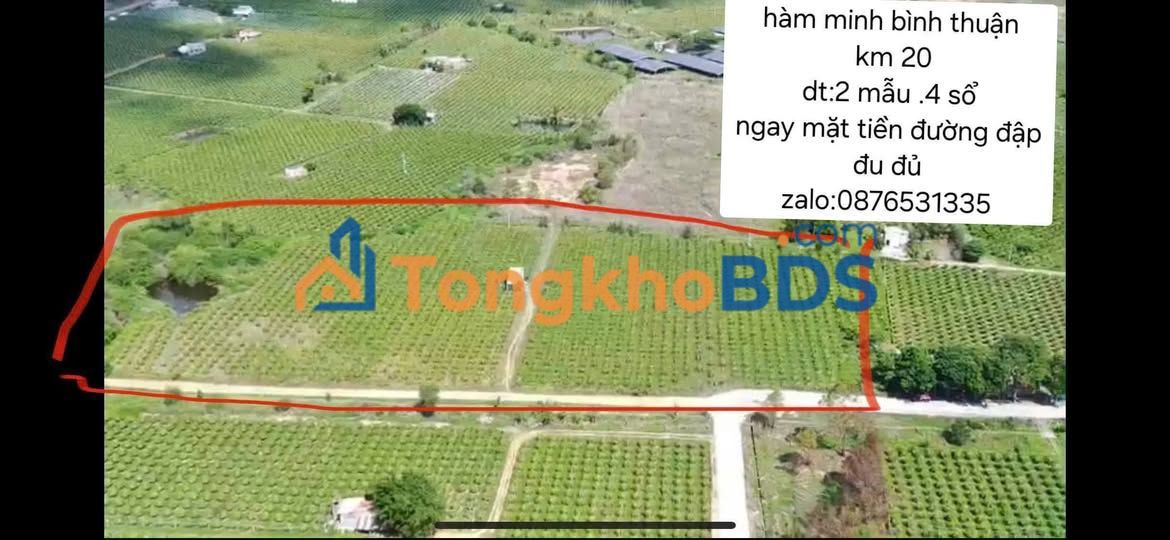 Đất vườn Hàm Minh 2ha giá thỏa thuận - Sổ tách bán lẻ