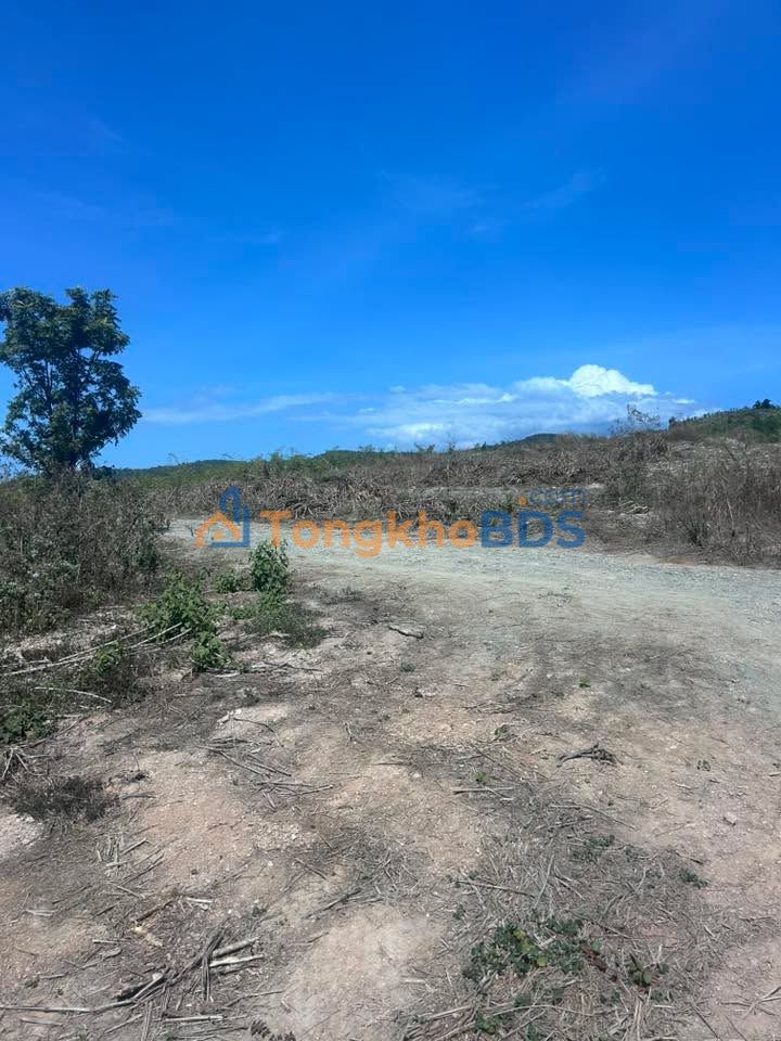 Đất vườn 26ha Tân Lập Hàm Thuận Nam - Sinh thái xanh