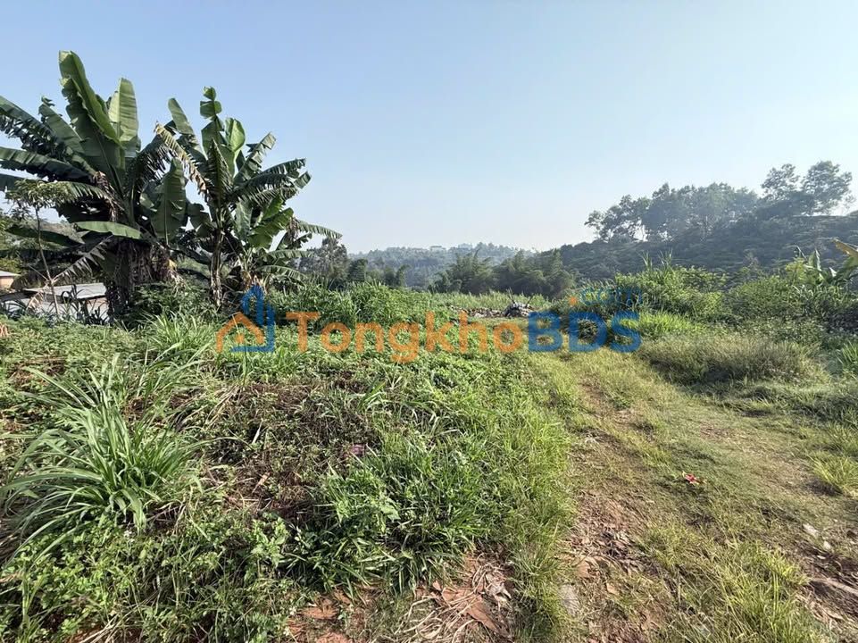 Nhà hẻm Lê Lợi Lộc Thanh 625m² - Ô tô vào tận nhà