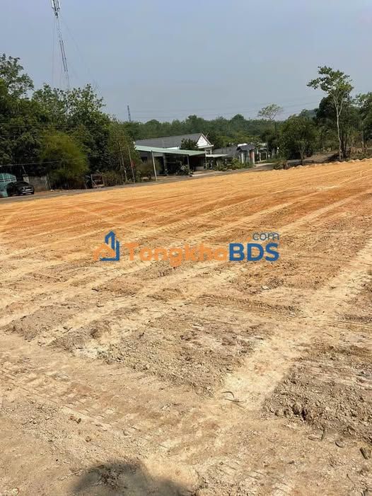 Đất vườn Đồng Tâm 1800m² 890 triệu - Đường ô tô