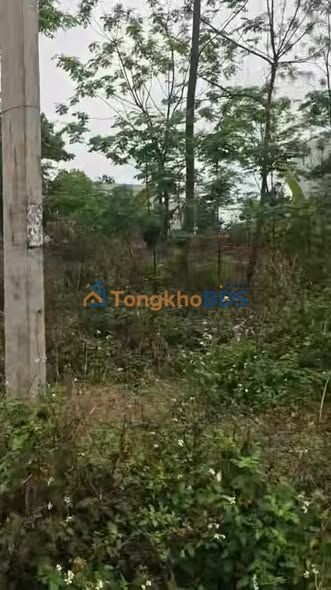 Đất nền KĐT Hạ Bạn Yên Lạc 112m²/ô - Đất thổ cư 100%