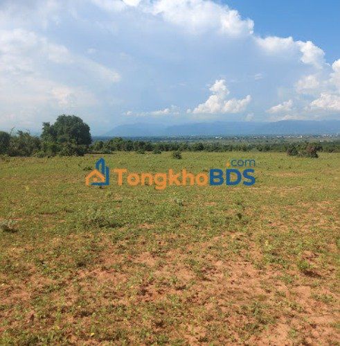 Đất Sông Lũy Bắc Bình 13000m² giá 1.4 tỷ - Ô tô vào tận đất