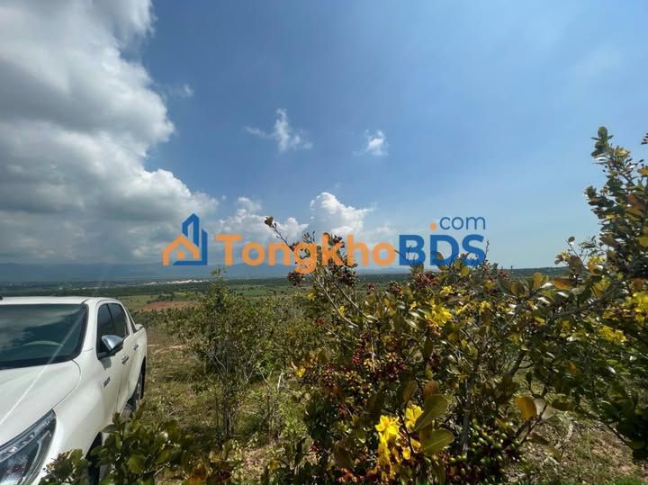 Đất trang trại Hòa Thắng 1.04ha giá 2.2 tỷ - Sinh thái xanh