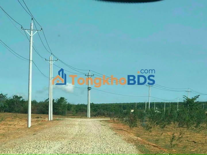 Đất trang trại Hòa Thắng 10.500m² giá 2.2 tỷ - Giá đầu tư tốt