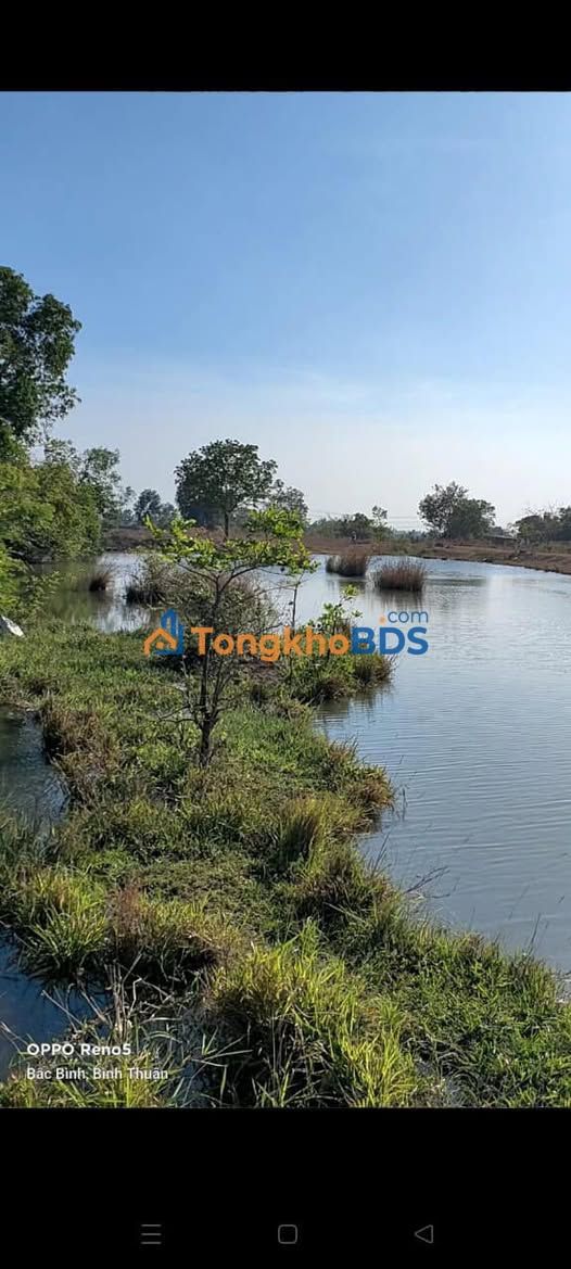 Đất vườn Phan Điền 3.492m² giá 800 triệu sinh thái xanh