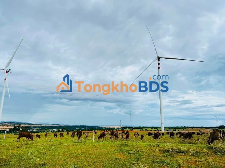 Đất vườn Hòa Thắng Bình Thuận 8.141m² - Sinh thái xanh