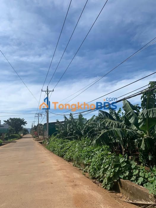 Đất nền Đạ Ròn 500m² giá 1.3 tỷ - Pháp lý rõ ràng